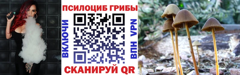 Псилоцибиновые грибы MAGIC MUSHROOMS  Муром 